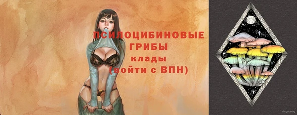 индика Балахна