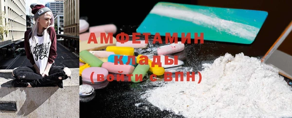 индика Балахна